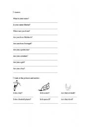 English worksheet: QUESTIONS FOR BEGGINERS