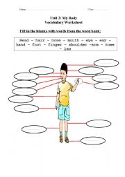 English worksheet: my body