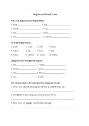 English Worksheet: SIngulary/Plural Nouns