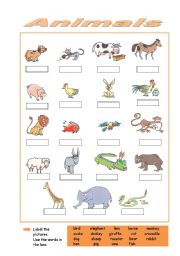 English Worksheet: Animals