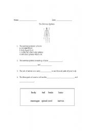 English Worksheet: Nervous System Worksheet