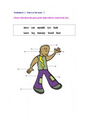 Worksheet- Parts of the Body