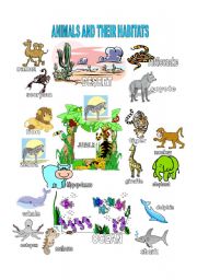 English Worksheet: Animals and their habitat