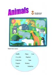 Animals