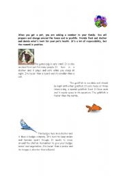 English worksheet: READ ABOUT PETS