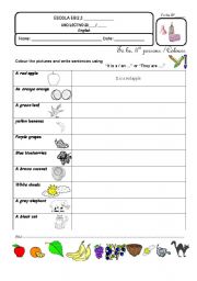 English Worksheet: Colours