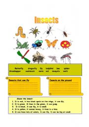 Insects