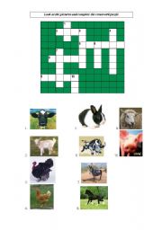 English Worksheet: Farm Animals