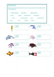 English worksheet: Sea Vocabulary