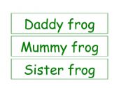 Frog Family word flashcards