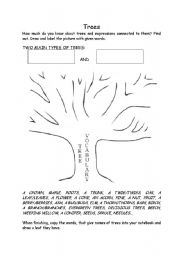 English Worksheet: TREE TYPES AND THEIR PARTS