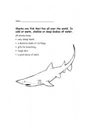 Sharks (activity booklet)