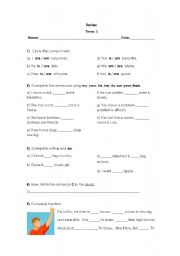 English Worksheet: Grammar Review