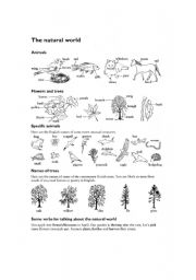 English worksheet: The Natural World