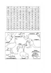 English Worksheet: Australian Animal wordfind