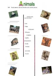 English worksheet: Animals