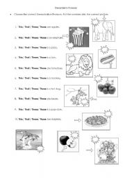 English Worksheet: Demostrative Pronouns (first part)