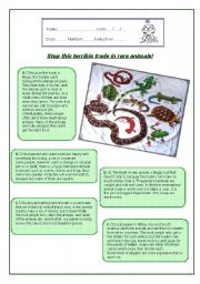 English Worksheet: Stop this terrible trade in rare animals!