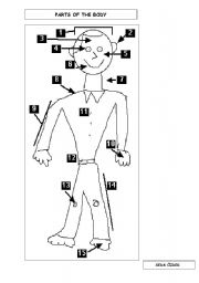 English worksheet: parts of the body