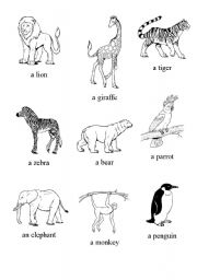 English Worksheet: Zoo animals
