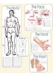 English Worksheet: The Body - Fill in the blanks
