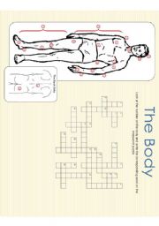 The Body - Crossword Puzzle