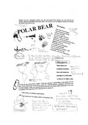 English Worksheet: polar bears - reading