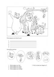 English Worksheet: ANIMALS