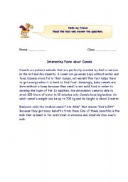 English Worksheet: Facts about Camels