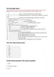 English worksheet: Animal quiz