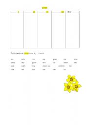 English Worksheet: plural