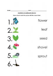 English Worksheet: Garden Vocabulary Picture-Word Match