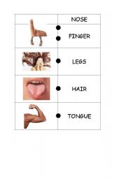 English worksheet: domino2