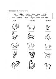 English Worksheet: Farm animals 