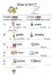 Slow or fast / Part 1 / The tortoise and the hare