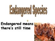 Ppt On Endangered Species Ppt On Endangered Species