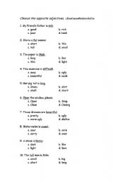 English Worksheet: Adjectives