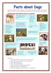 Facts about dogs