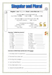 English Worksheet: Singular and Plural (Part 2)