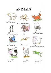 English worksheet: Animals