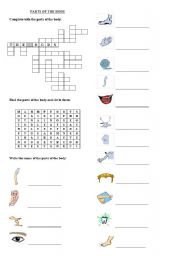 English Worksheet: Parts of the body