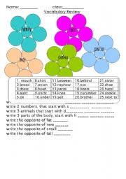English Worksheet: vocabulary review
