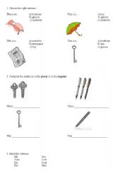 English Worksheet: Plurals