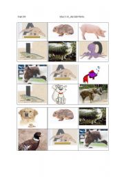 English worksheet: Animal Bingo -18 different cards!!! 02/08/08 card 2/6