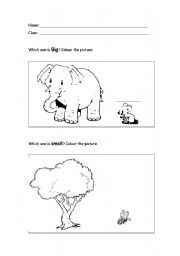 English worksheet: Big and Small