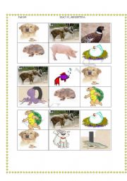 Animal Bingo -18 different cards!!! 02/08/08 (6/6)