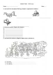 English Worksheet: Short tes-bugs