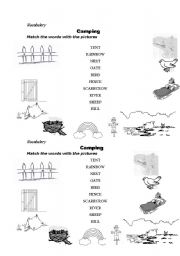 English Worksheet: Camping 