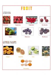English Worksheet: Rich Fruit Collection 
