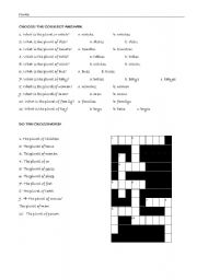 English Worksheet: Plurals